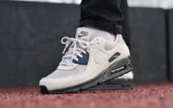 Nike Air Max 90 «Light Orewood Brown»