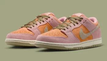 Nike SB Dunk Low Pro «Red Stardust»
