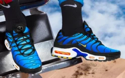 Часто задаваемые вопросы о Das Ultimative Nike Air Max Plus