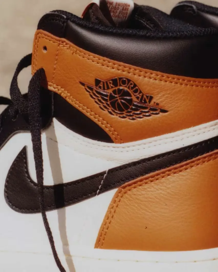 Дата выхода и фотографии Air Jordan 1 High OG «Shattered Backboard» 2025 года