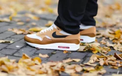 вопросы о Nike Air Max 1