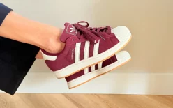 adidas Superstar «Maroon Off White»