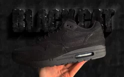 Nike Air Max 1 Premium Black Cat