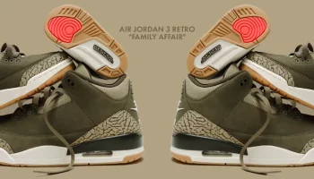 Air Jordan 3 Retro «Family Affair»
